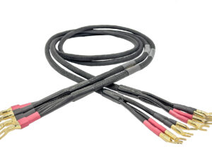 The Caprice II Bi-Wire